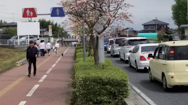 富士見市内の歩道